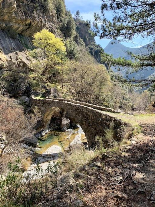 Casa Bertagna Leilighet Rocchetta Nervina Eksteriør bilde